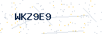 Security verification code